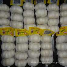 Experienced Supplier of Chinese Fresh White Garlic